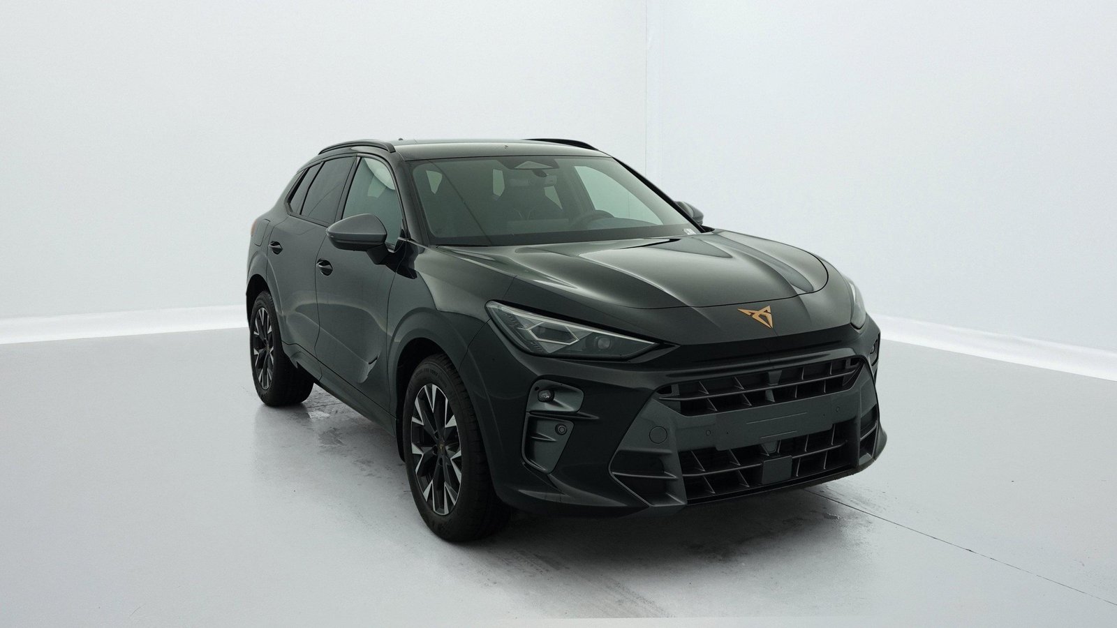 cupra Terramar — photographie 1