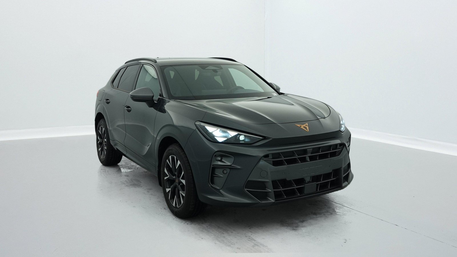 cupra Terramar — photographie 1