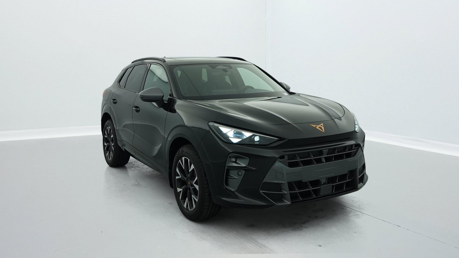 cupra Terramar — photographie 1