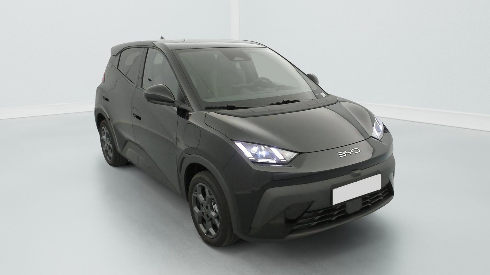 byd DOLPHIN SURF
